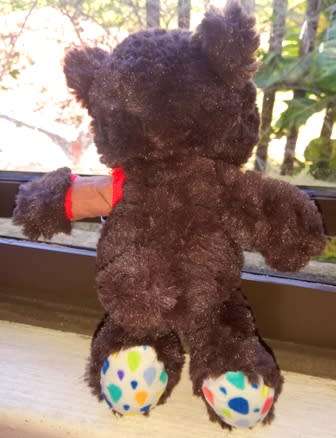 Cute little Nici Bear with red bandage on arm.  20cm.