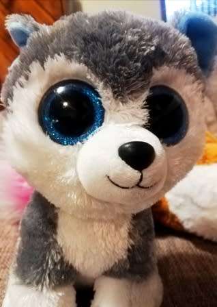 TySilk Beanie Boos. Slush the Husky - Glitter eye color. 25cm.