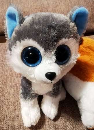 TySilk Beanie Boos. Slush the Husky - Glitter eye color. 25cm.