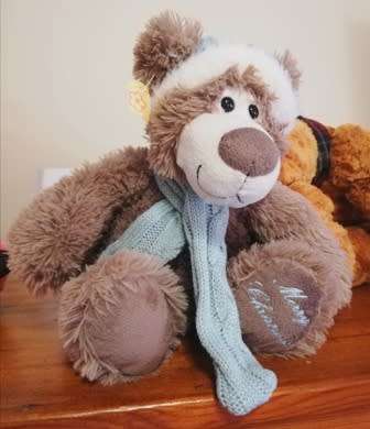 A Beautiful `Merry Christmas` Teddy Bear! Super Soft! 30cm.