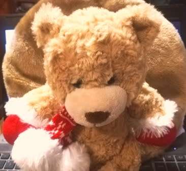 A Beautiful Christmas Teddy Bear! Super Soft! 30cm.