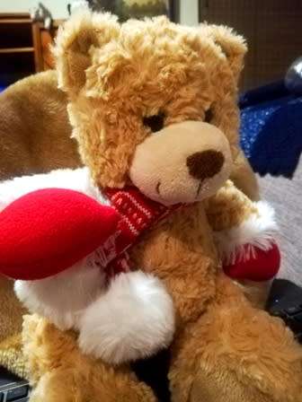 A Beautiful Christmas Teddy Bear! Super Soft! 30cm.