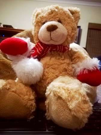 A Beautiful Christmas Teddy Bear! Super Soft! 30cm.