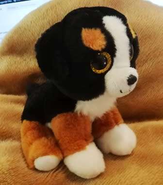 Velvety TY Beanie Boo Roscoe Bernese Mountain Dog. Glitter eyes. 18cm.
