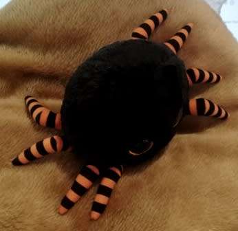 TY Beanie Boo Crawley the Spider. Glitter eyes. 15cm.