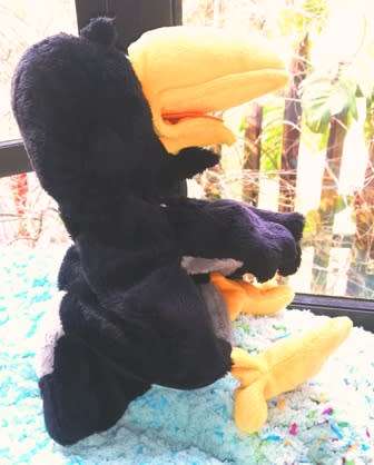 Chirpy, the Black Bird hand puppet! A Trudi soft toy. 30cm.