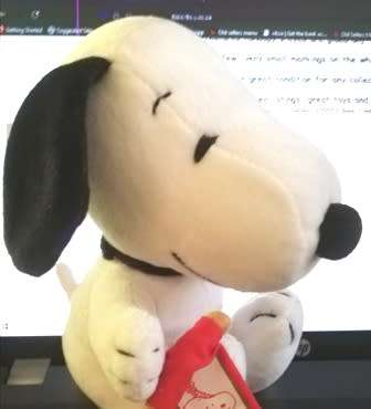 Happiness is a hug from Snoopy!  18cm.  Bargain!