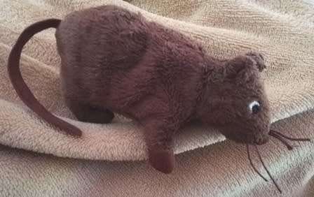 Fudge the Brown Mouse! Have loads of fun with this small plush toy. 15cm.