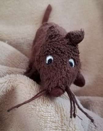 Fudge the Brown Mouse! Have loads of fun with this small plush toy. 15cm.