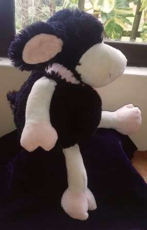 Blackie the Sheep. A cute, I love you black and white plush, soft toy. 42cm.