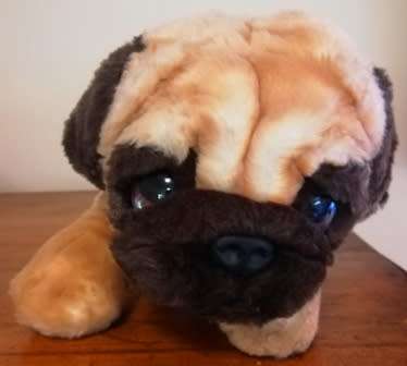 Keel Toys Signature Cuddle Puppy.  Adorable, Huggable Pug Plush Toy!  32cm.