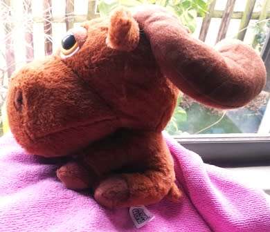 Big Headz - Around the World! Mac the Moose. Super Plush Soft Toy.  22cm. Cheap Price!