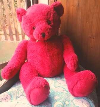 Cupcake the Beautiful Burgundy Teddy Bear! Super Plush Soft Toy! 65cm.