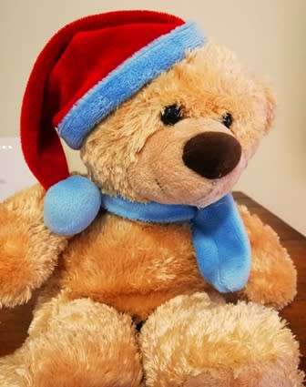 Beautiful Bob the Christmas Teddy Bear! Super Soft! 33cm.