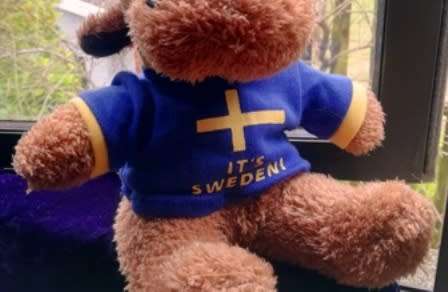 Mikey the Moose with a `It`s Sweden!` blue and yellow T-Shirt. 24cm.