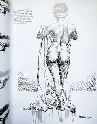 Drawing Techniques: Pencil, Charcoal and Ink. The Art of Drawing Paperback 13 Mar. 2002 by Giovanni.