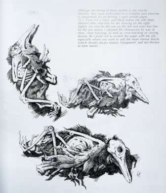 Drawing Techniques: Pencil, Charcoal and Ink. The Art of Drawing Paperback 13 Mar. 2002 by Giovanni.