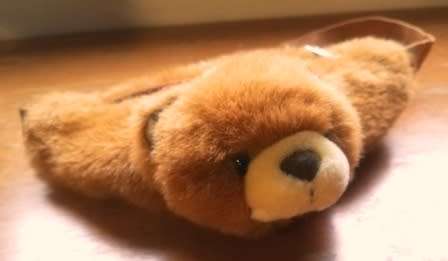 Cute little Bear money/play bag!