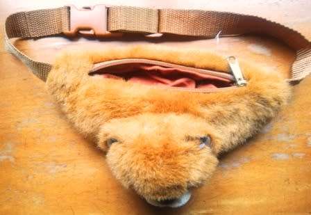 Cute little Bear money/play bag!