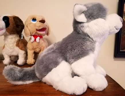 A beautiful Husky named Luca! 33cm.