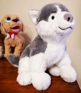A beautiful Husky named Luca! 33cm.