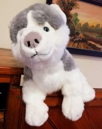 A beautiful Husky named Luca! 33cm.