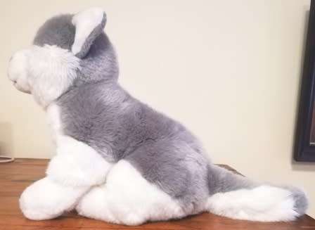 A beautiful Husky named Luca! 33cm.