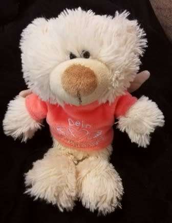 Cute little plush teddy bear with Angel Wings T-Shirt!  25cm.