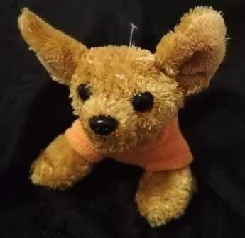 Gadget the Puppy with an orange Puppy Love jersey!