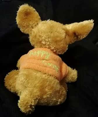 Gadget the Puppy with an orange Puppy Love jersey!