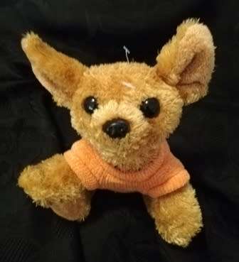 Gadget the Puppy with an orange Puppy Love jersey!