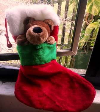 Christmas Teddy and a Plush Stocking/Sock! 44cm. Beautiful!