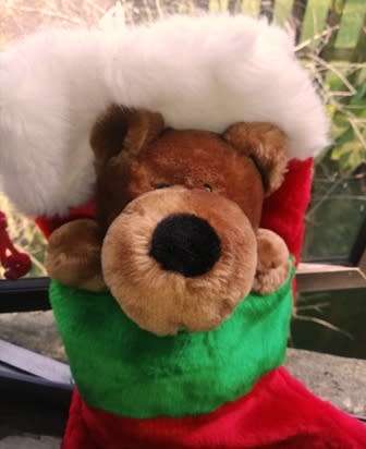 Christmas Teddy and a Plush Stocking/Sock! 44cm. Beautiful!
