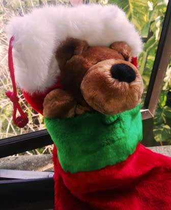 Christmas Teddy and a Plush Stocking/Sock! 44cm. Beautiful!