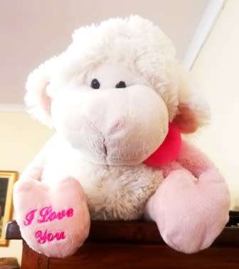 Wooley the cute I Love You little Sheep! 40cm.
