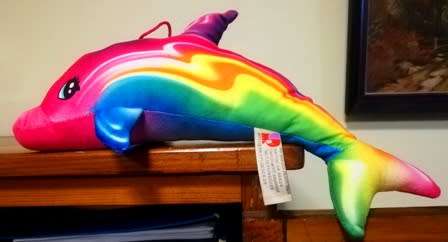 A beautiful, rainbow dolphin. Plush soft toy!
