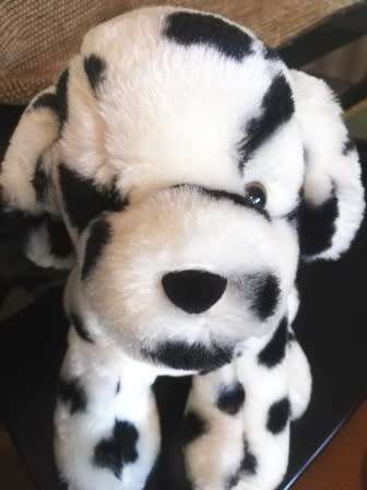 Spotty the Dalmatian Puppy!  Plush Soft Toy! 26cm. Good as New!