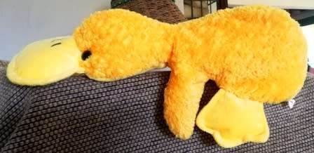 Dixi the Platypus Duck. Super soft and cuddly plush toy. 38cm.