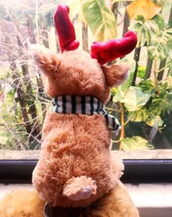 Glitzy the little Christmas Reindeer with striped scarf! 26cm.