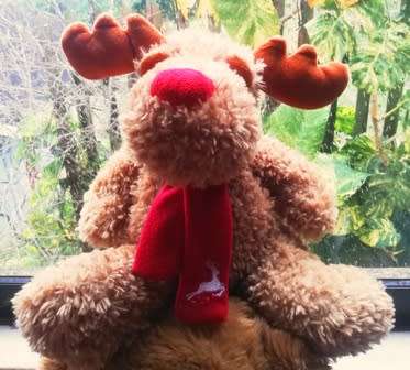 Pip the Moose with a red Christmas scarf. 30cm.