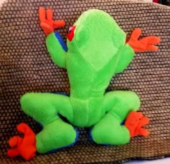 Life Like Red-Eyed Tree Frog. 18cm.