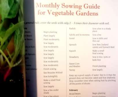 JHB Garden Club. Monthly Notes for Highveld Gardens.