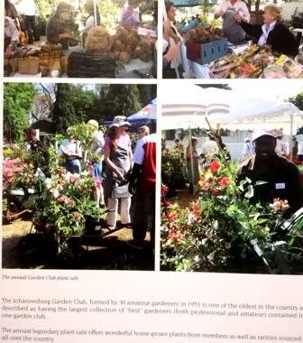 JHB Garden Club. Monthly Notes for Highveld Gardens.