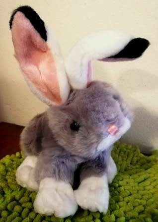 An awesome, super soft Bunny called Hoppity. 20cm.