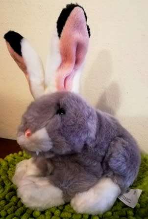 An awesome, super soft Bunny called Hoppity. 20cm.
