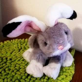 An awesome, super soft Bunny called Hoppity. 20cm.