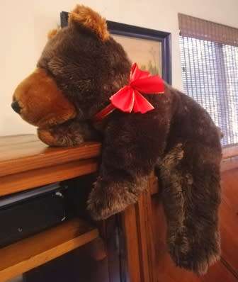 A beautiful, floppy, big brown Bear named Brownie. A Keel plush toy. 40cm.