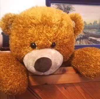 A beautiful, floppy, light brown Bear named Caramel. 45cm. Great price!
