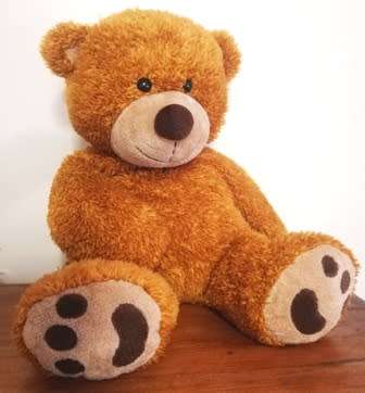 A beautiful, floppy, light brown Bear named Caramel. 45cm. Great price!