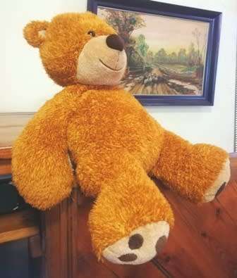 A beautiful, floppy, light brown Bear named Caramel. 45cm. Great price!